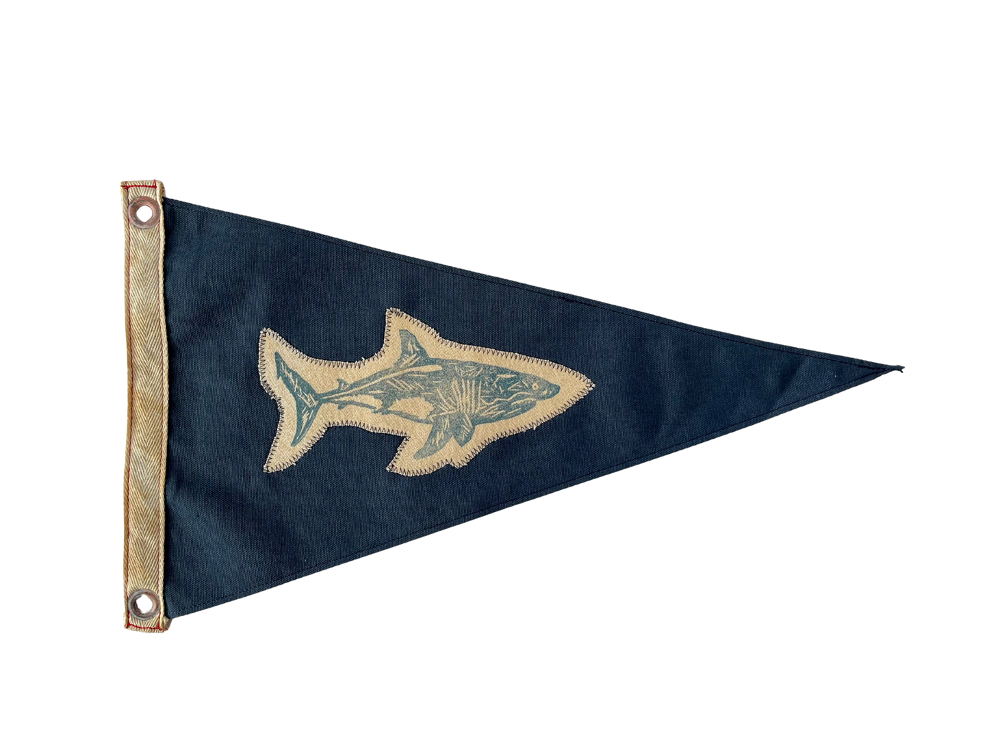 The Shark Tracker